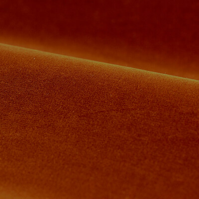 Performance Cotton Velvet Terracotta