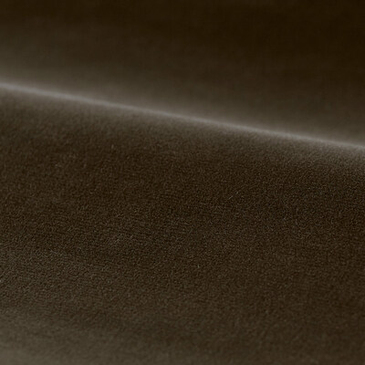 Performance Cotton Velvet Umber