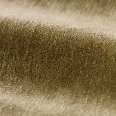 Mohair Antelope