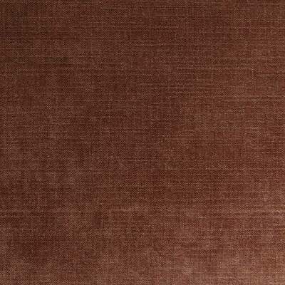 Teviot Russet