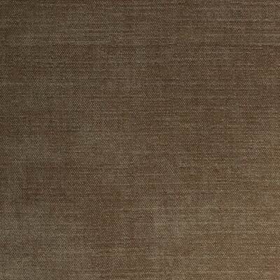 Teviot Bark