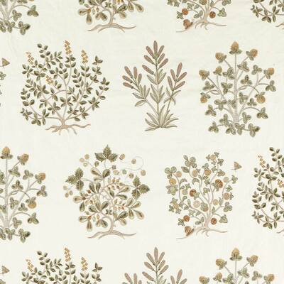Thyme Walk Lichen/Gooseberry