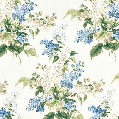 Delphinium & Lilac Larkspur Blue