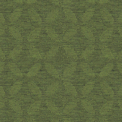 Halcyon Aspen Evergreen