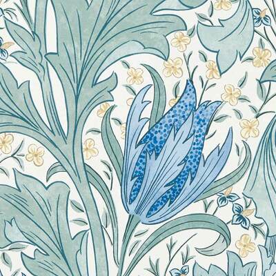 Cornflower Blue 217597