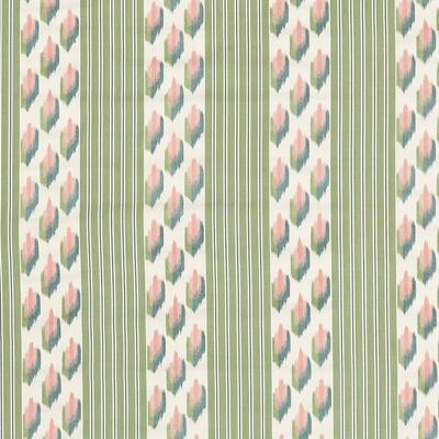 Cardamom/Namak 237530