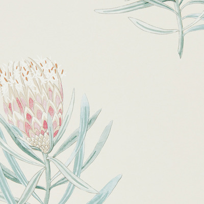 Porcelain/Blush 216330