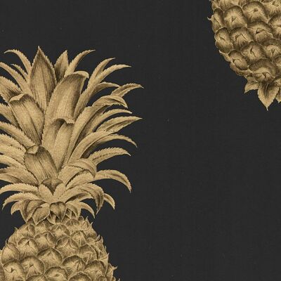 Pineapple Royale Graphite/Gold