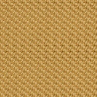 Oceanic Dune