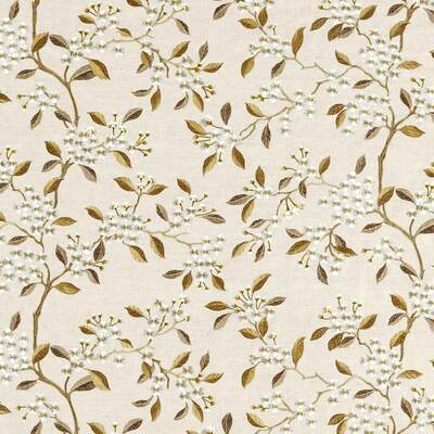 Rosemary/Birch 237802