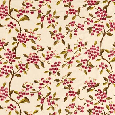 Damson Blossom