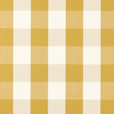 Golden Knot 237742