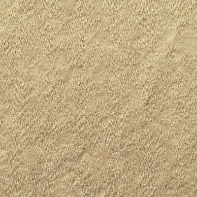 Champagne M487303