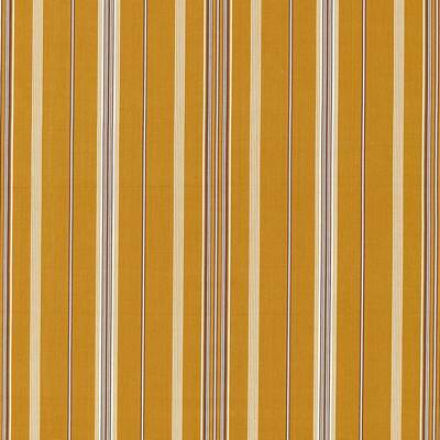 Turmeric/Walnut 237719