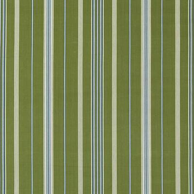 Latimer Stripe