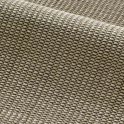 Vert olive M504402