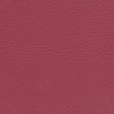 Studio+ Paprika