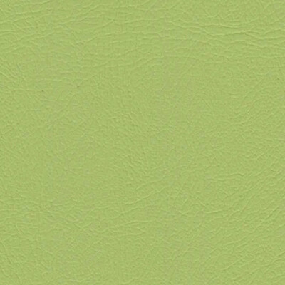 Studio+ Citronelle