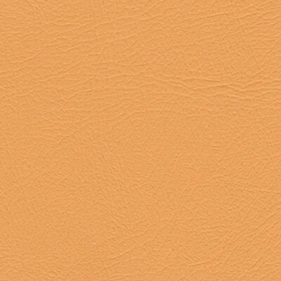 Studio+ Sorbet