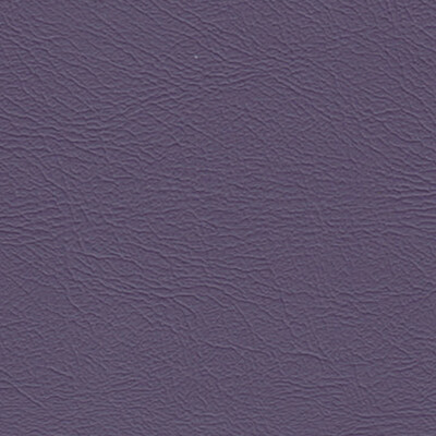 Studio+ Plum