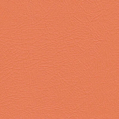 Studio+ Tangerine