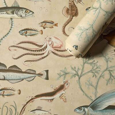 Dory Vellum
