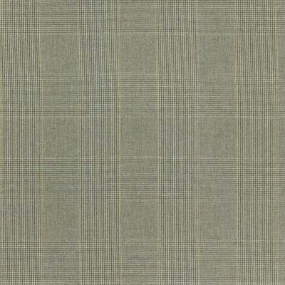 Lichen SAF0540-03