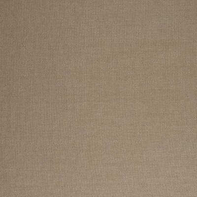 GOTHEN6165