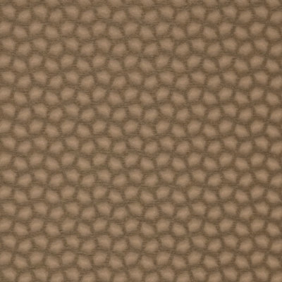 Manuka Bronze