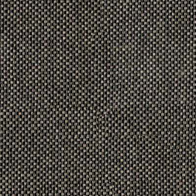 Rivet Otter