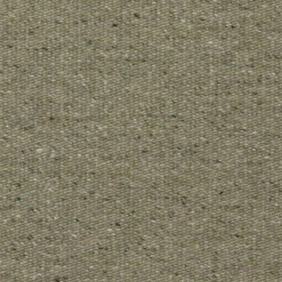 Persis Lichen