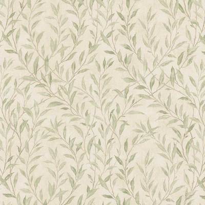 Osier Willow Cream