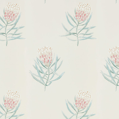 Protea Flower Porcelain/Blush