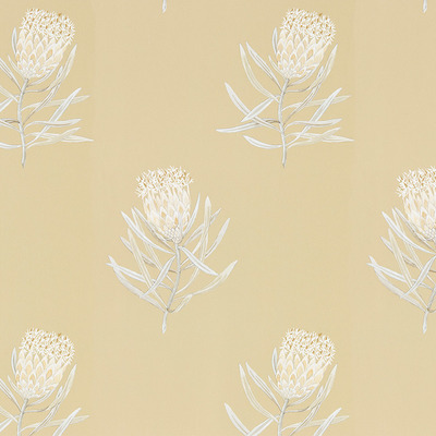 Protea Flower Sepia/Champagne