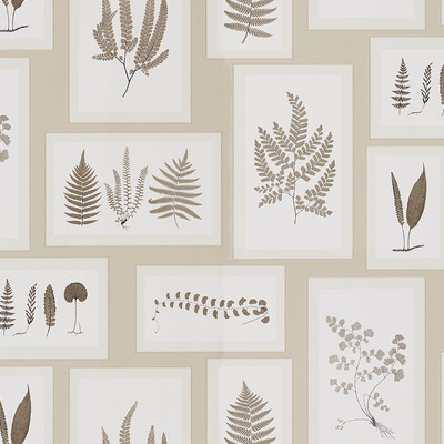 Fern Gallery Linen/Sepia