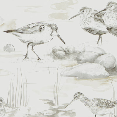 Estuary Birds Chalk/Sepia