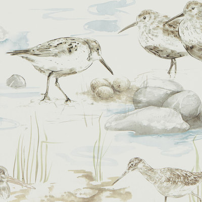 Estuary Birds Blue Grey