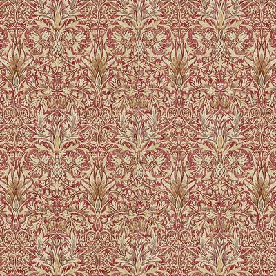 Snakeshead Madder/Gold