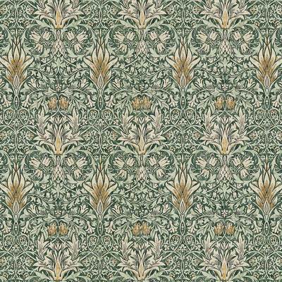 Snakeshead Forest/Thyme