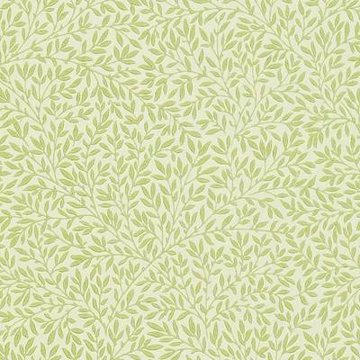 Standen Fennel