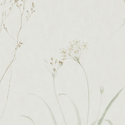 Farne Grasses Willow/Pebble
