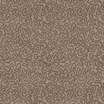 Maze Sable