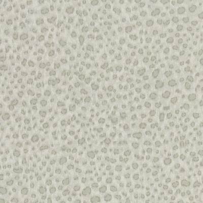 Wallis Paris Grey