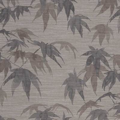 Acer Ash/Pewter