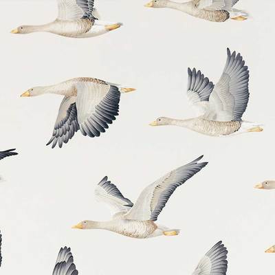 Elysian Geese Silver/Chalk