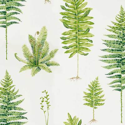 Fernery Botanical green