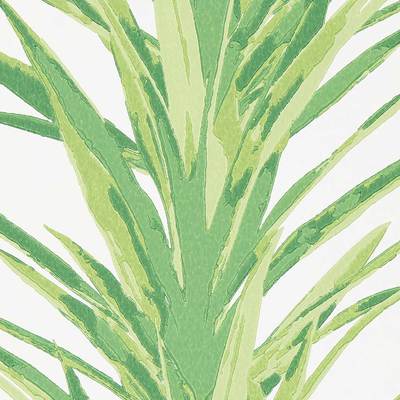 Yucca Botanical green