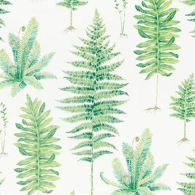 Fernery Botanical green