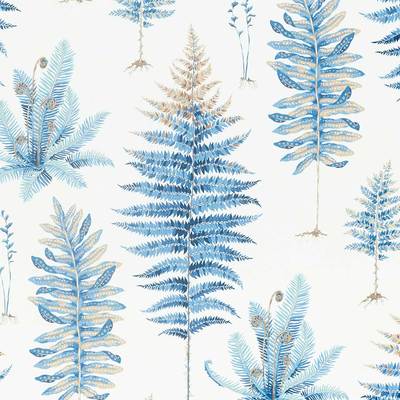 Fernery China blue