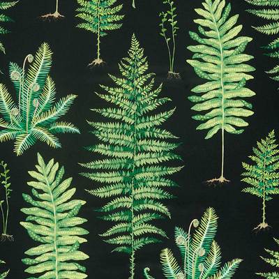 Fernery Botanical green/charcoal